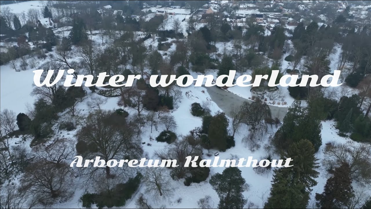 ❄🌨☃ Winterlandschap Arboretum Kalmthout in 4K | Drone beelden (2026)❄🌨☃