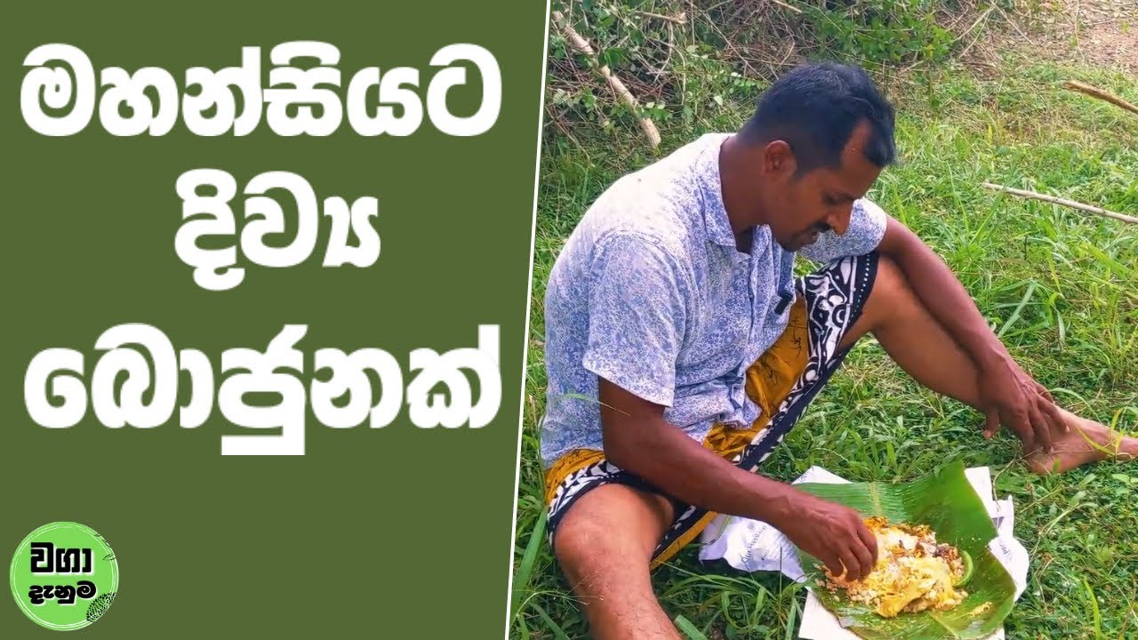 මහන්සියට දිව්‍ය බොජුනක් | වගා දැනුම