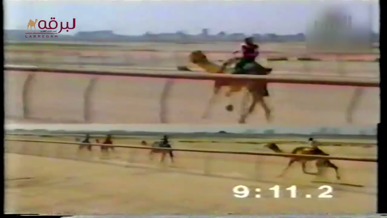 العفريت لـ سعادة الشيخ محمد بن خليفة بن حمد آل ثاني (كأس الثنايا بكار مهجنات 1993 ميدان ند (الشبا