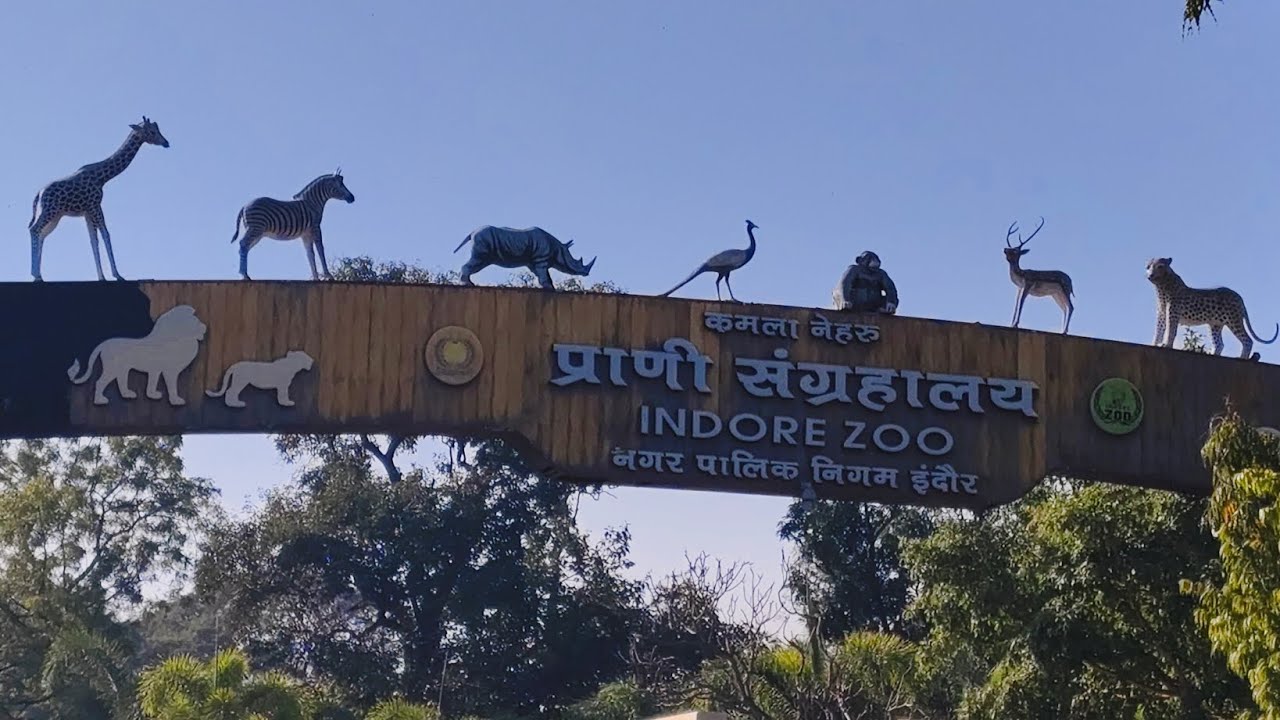 Indore Zoo #animals || Kamla Nehru || prani sangrahalaya ✅🐯🦁🐱🐺🐻🐨🐭🐰🦝🦓🦎🐹🐢🐊🐍🐂🐃🦌🐘🦏🦛🐒🦍🐿️🦔🦦🐦🐓🐔🦅🦉🦜🕊️🦤🦢🦆🪿🦩🦚🦃