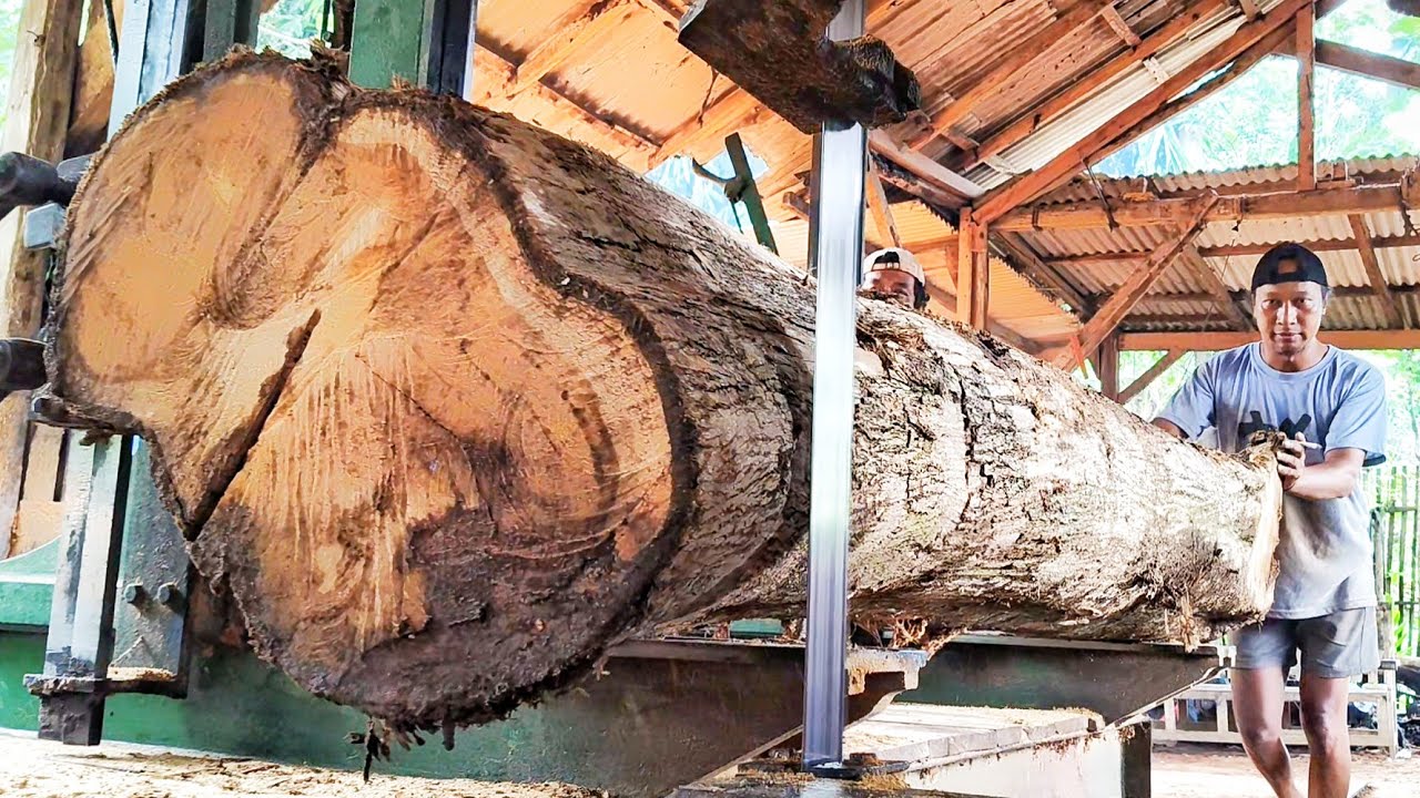 Tense moments, sawing teak wood into thick planks, part #4