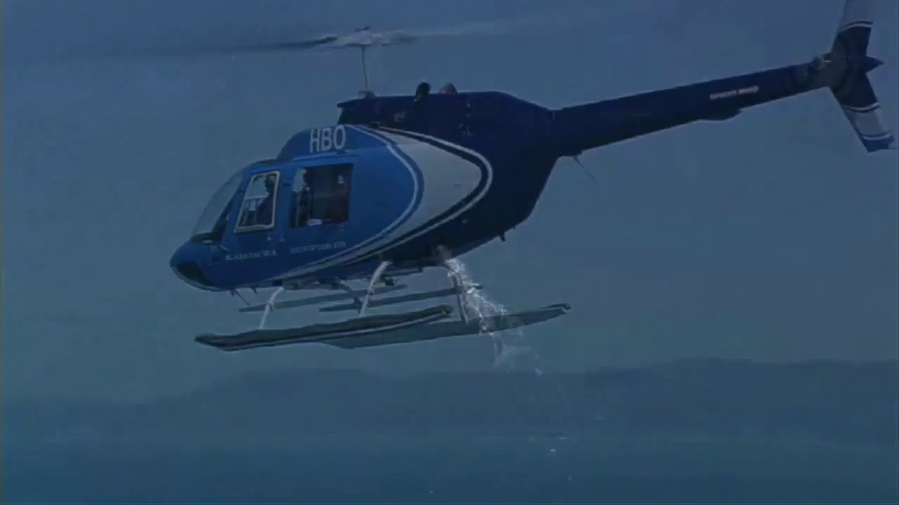 Whale watching in Kaikoura  Kaikoura Helicopters