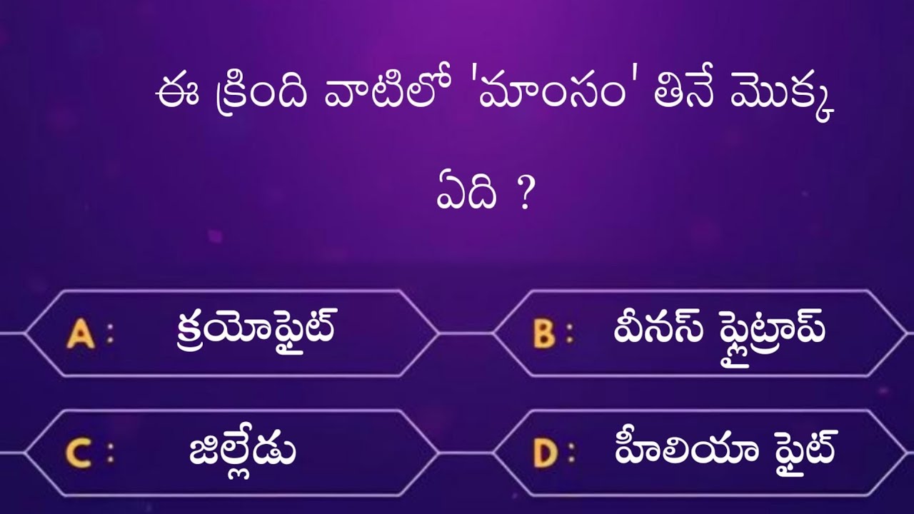 Interesting Questions In Telugu|Episode-7|By Rk thoughts|Unknown Facts|General Knowledge|Telugu Quiz