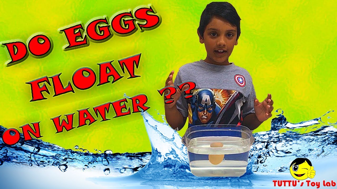 Floating  Eggs Science Experiments