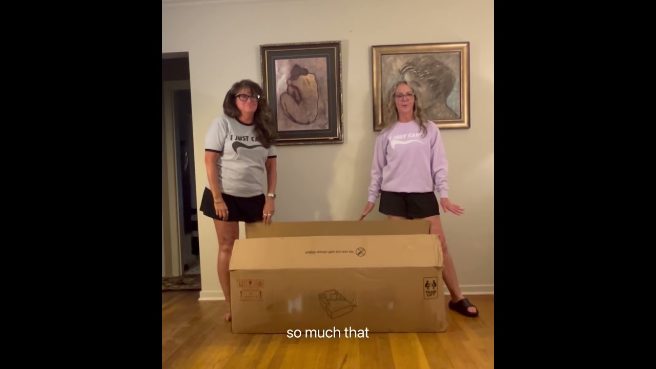 Temu chair reveal
