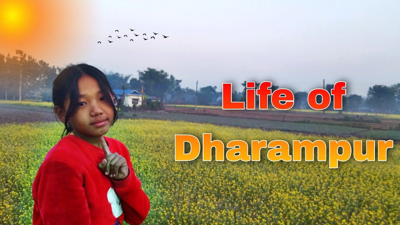 Rural Life of Dharampur Village 🇳🇵 | Real Nepal Village Life