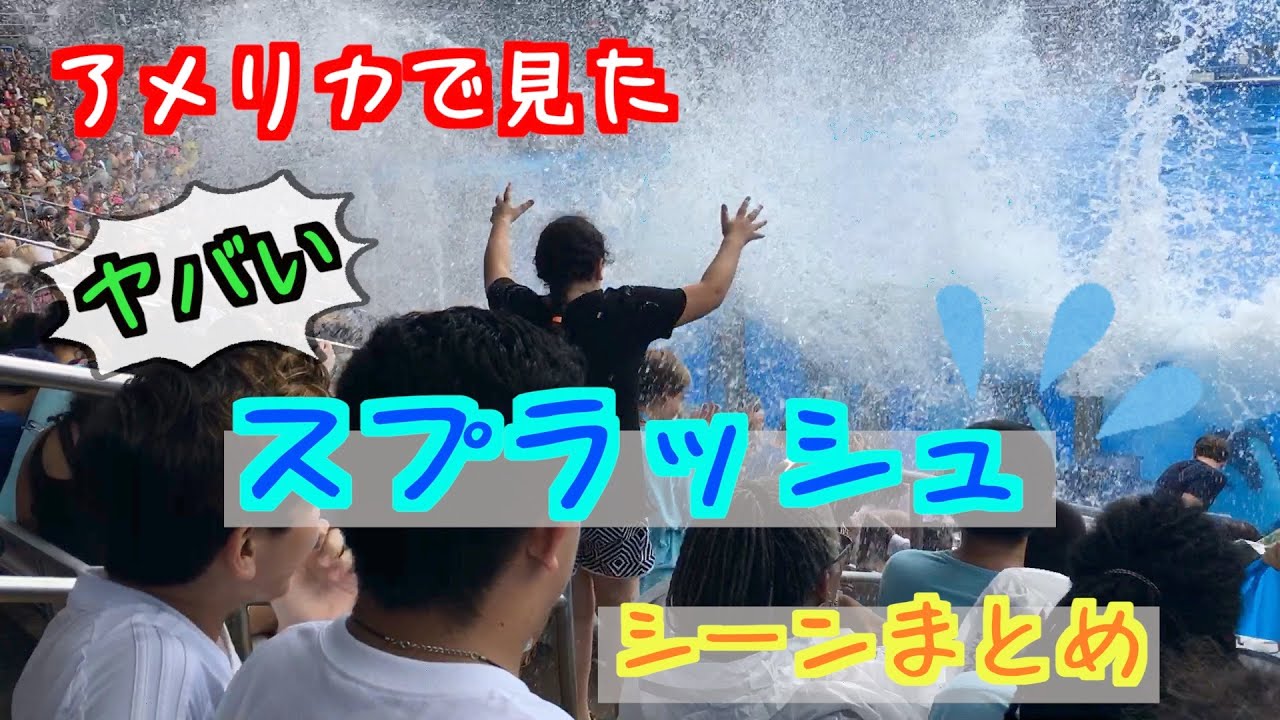 【スプラッシュ総集編！】イルカショー・シャチショーの大迫力スプラッシュ（水かけ）シーンまとめ＠アメリカ フロリダ州 の水族館