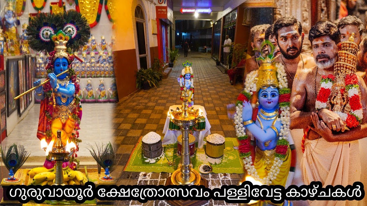ഏതൊരു ഭക്തനും കാണാൻ ആഗ്രഹിക്കുന്ന കാഴ്ചയായിരുന്നു അത് ശ്രീലകത്തു നിന്നും ഭഗവാൻ |pallivetta guruvayur