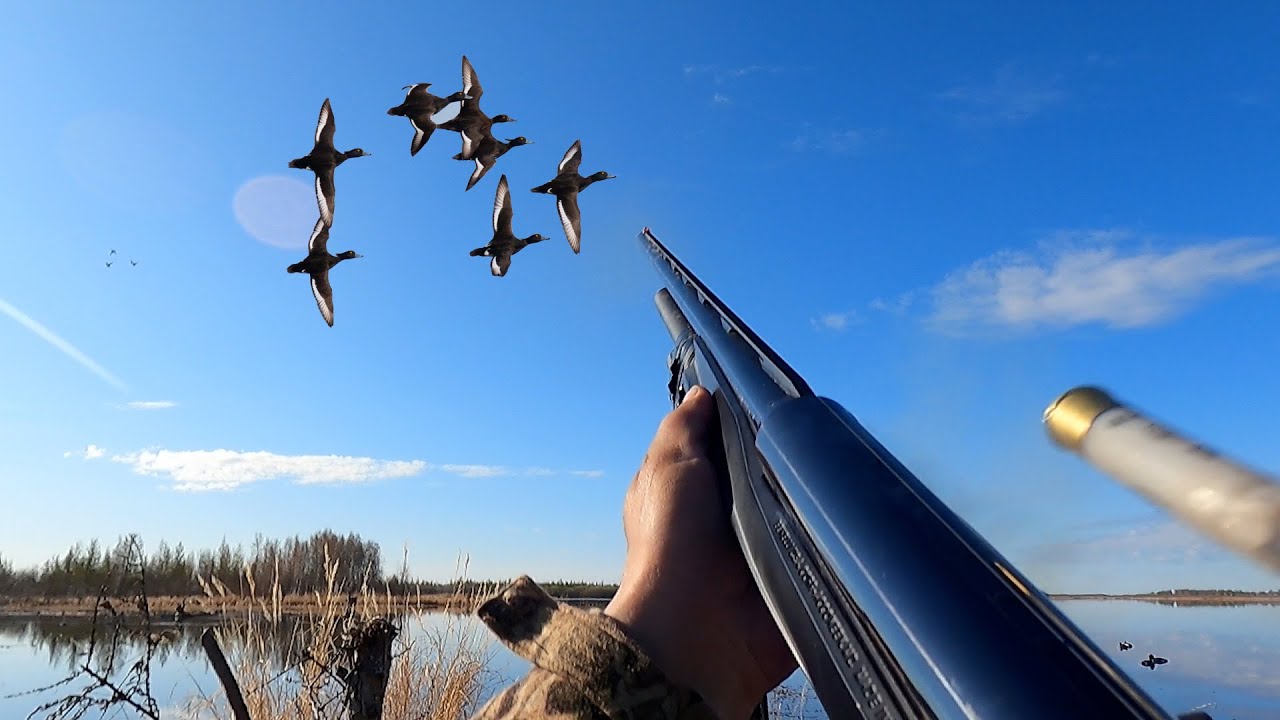 1. Benelli Vinci hunting in Kolyma . Benelli Vinci на Колыме 1.
