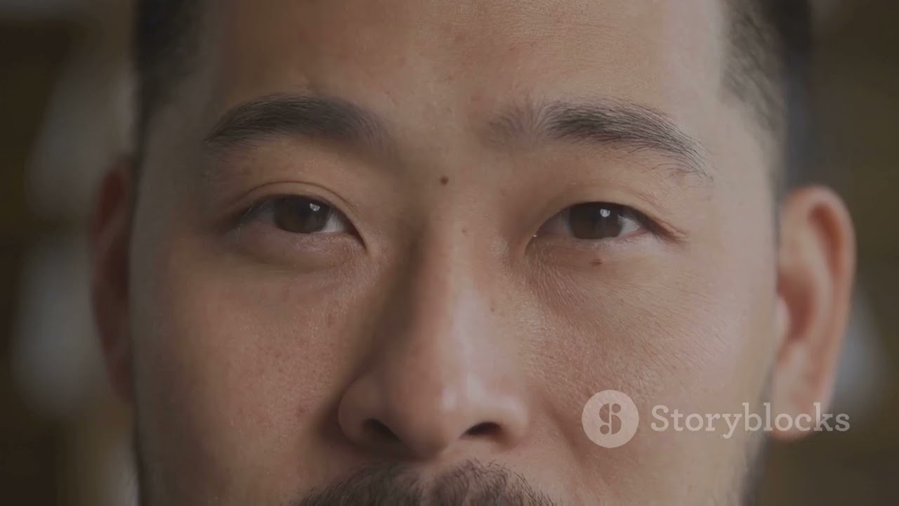 invideo-AI explainer: Nick Chater's The Mind is Flat (2018)