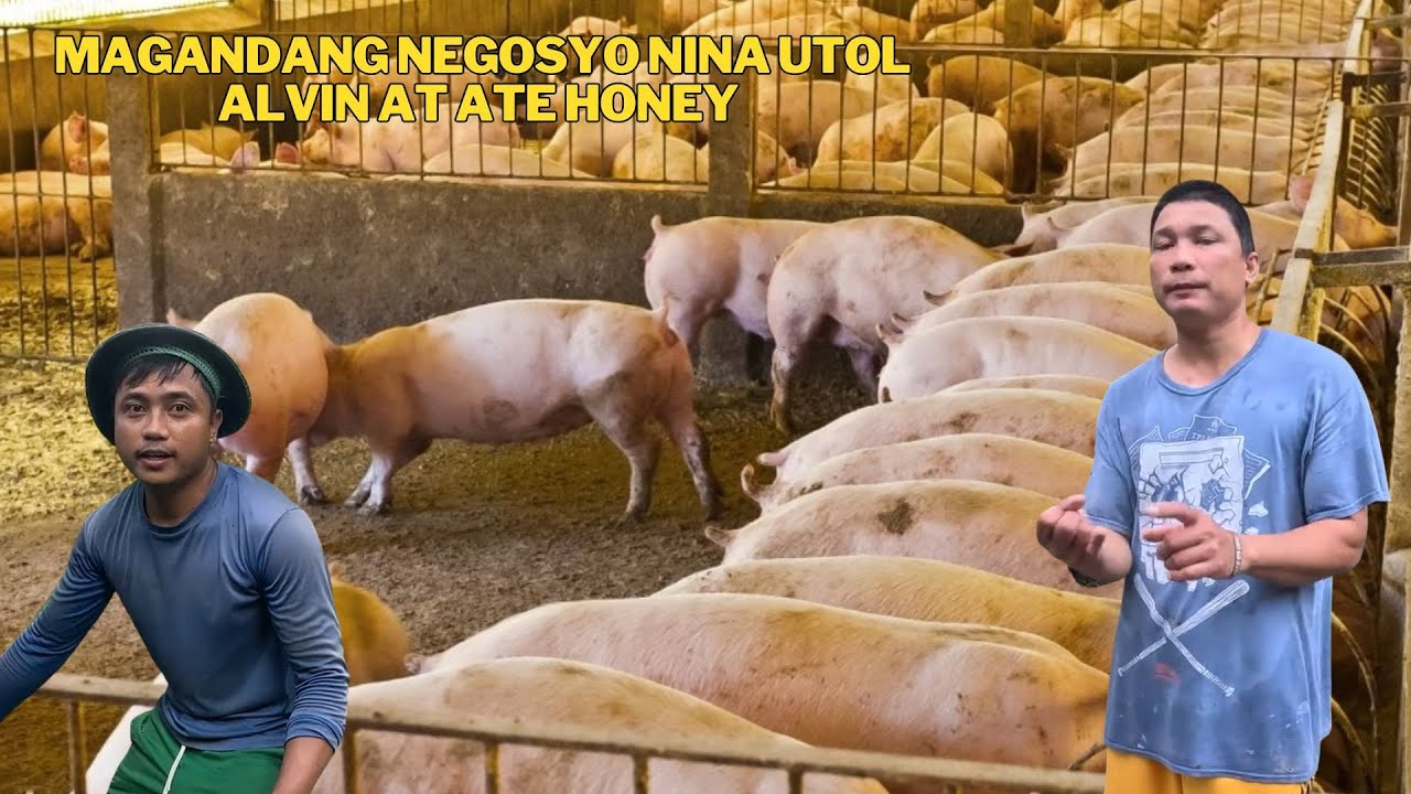 LUGAR NG AKING KAPATID SA BAYAN NG TAGKAWAYAN UMASENSO SA PAGBABOY AT KUNTING TIP SA PAGBABOY