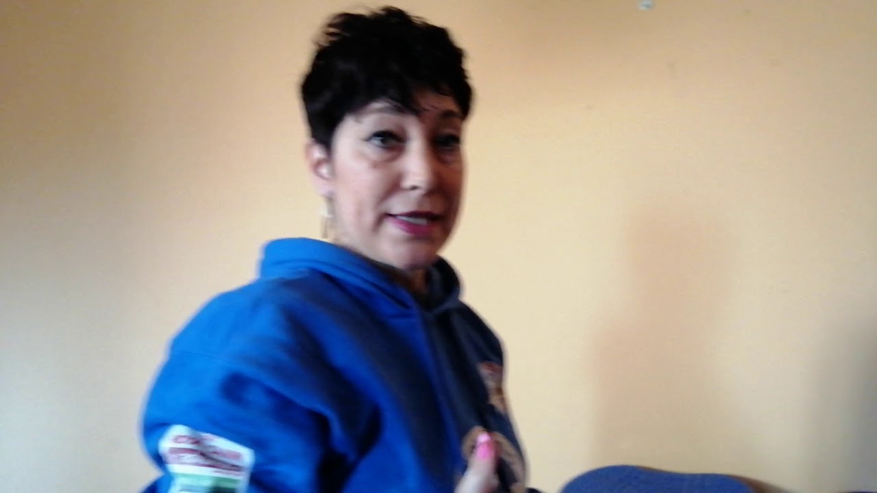 Attrezzi Propriocettivi per cani