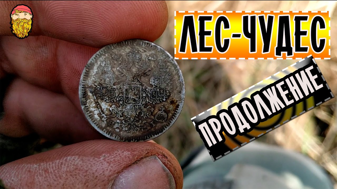МНОГО ЦАРСКИХ МОНЕТ И СЕРЕБРО! ЛЕСНОЙ КОП С ДЕУСОМ
