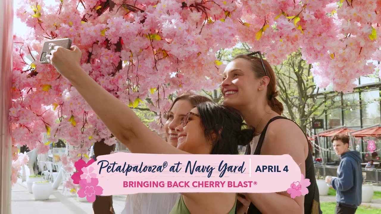 2026 National Cherry Blossom Festival - Take a Sneak Peek!