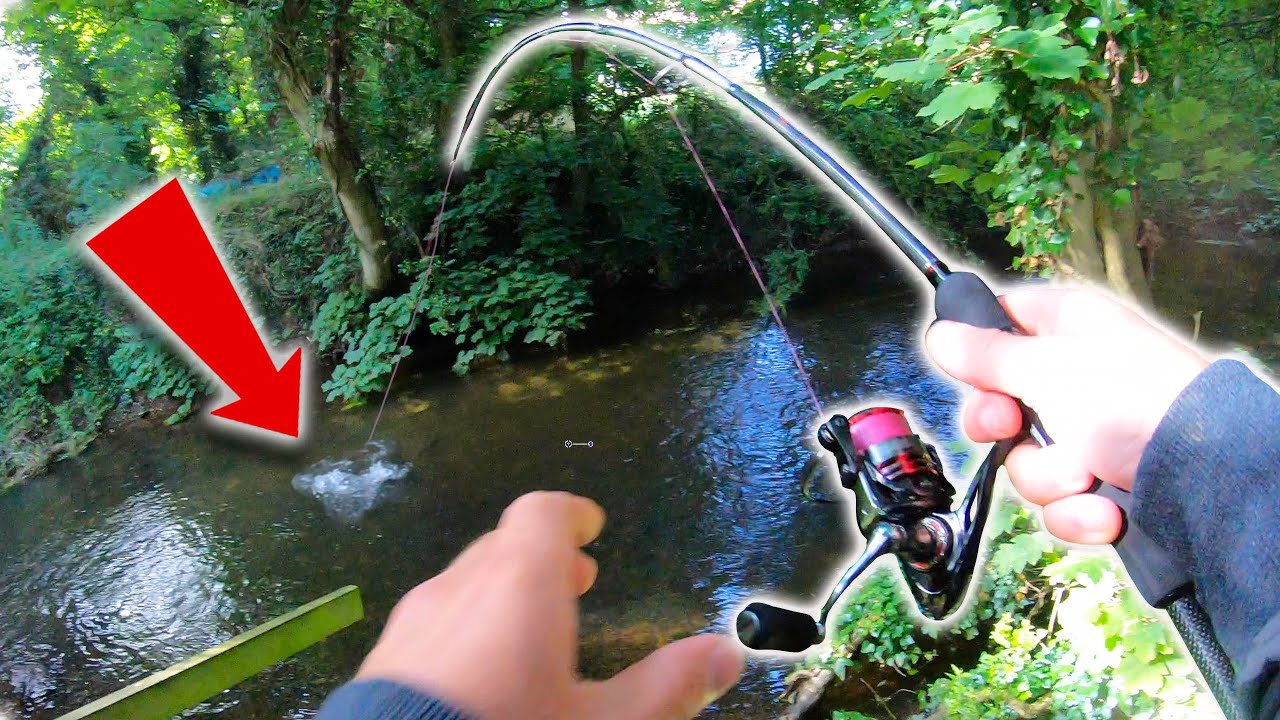 These FISH CRUSH the BUGS! Lure Fishing For Chub?!