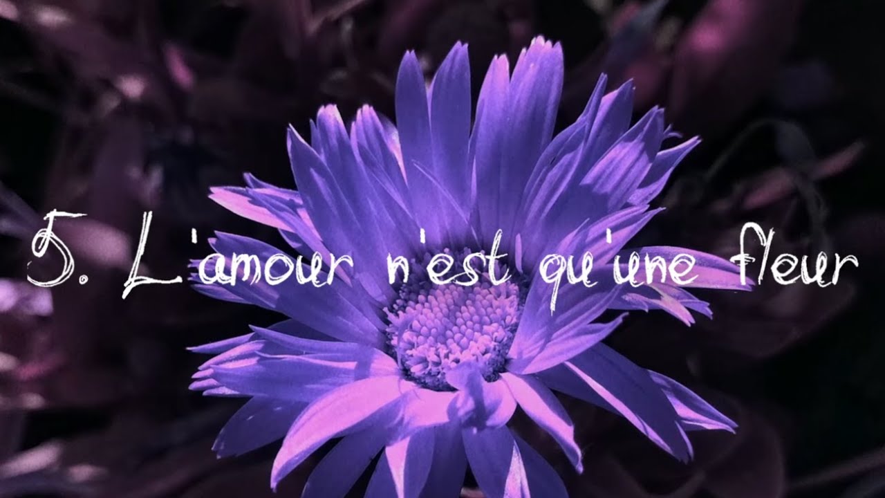Katon - L'amour n'est qu'une fleur (5.NARCISSE)