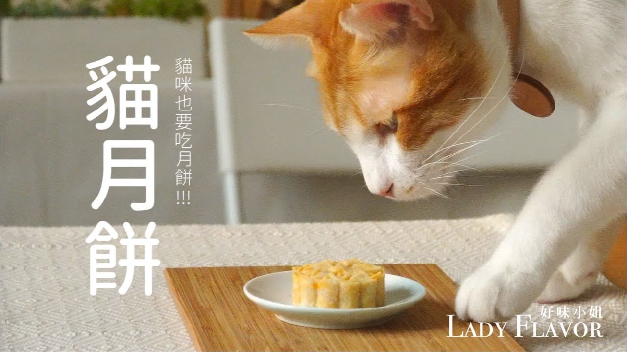 貓月餅，五色月餅！這次的貓月餅好難選呀！【貓副食食譜】好味貓廚房EP65