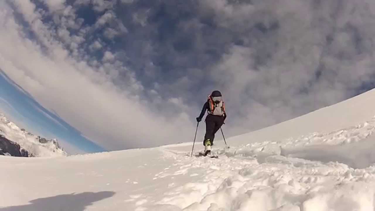 Gardiole de l'Alp, Jan 2015