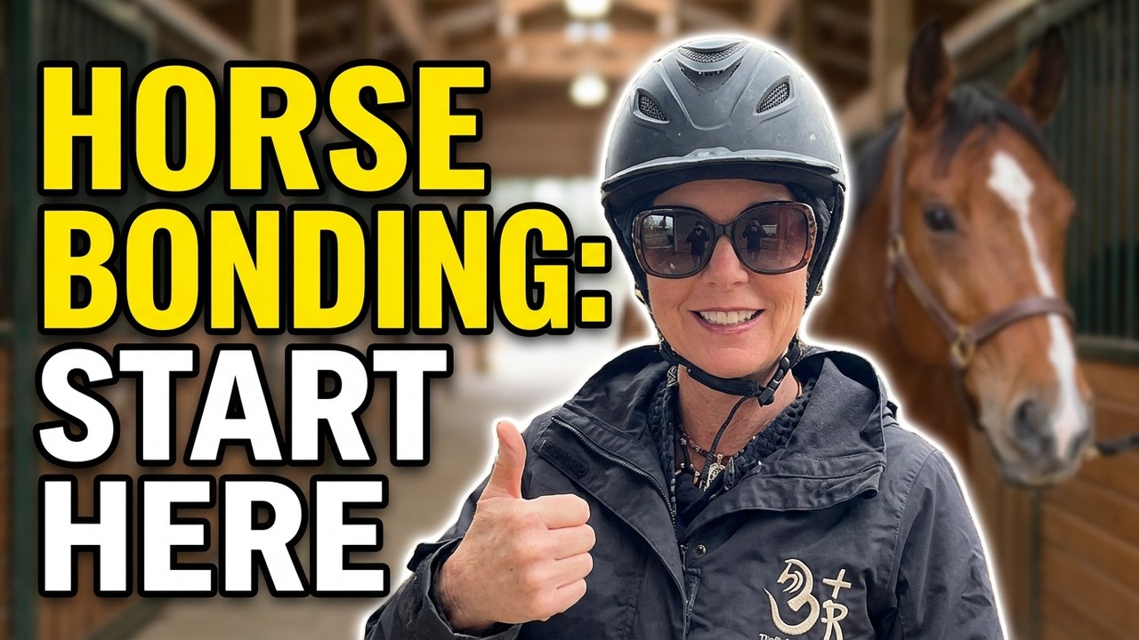 Watch how we start with beginner's, step by step, from grooming to leading.