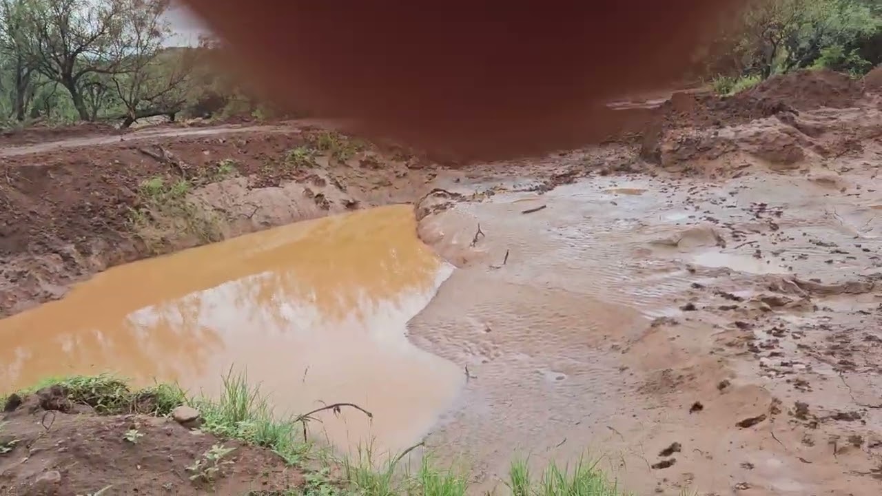 We Built a Pond to Catch Rainwater in Arizona