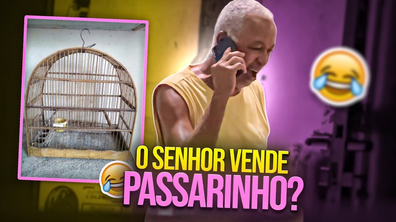 TROTES PARA O REI DO DANONE O SENHOR VENDE PASSARINHO | REI DO DANONE