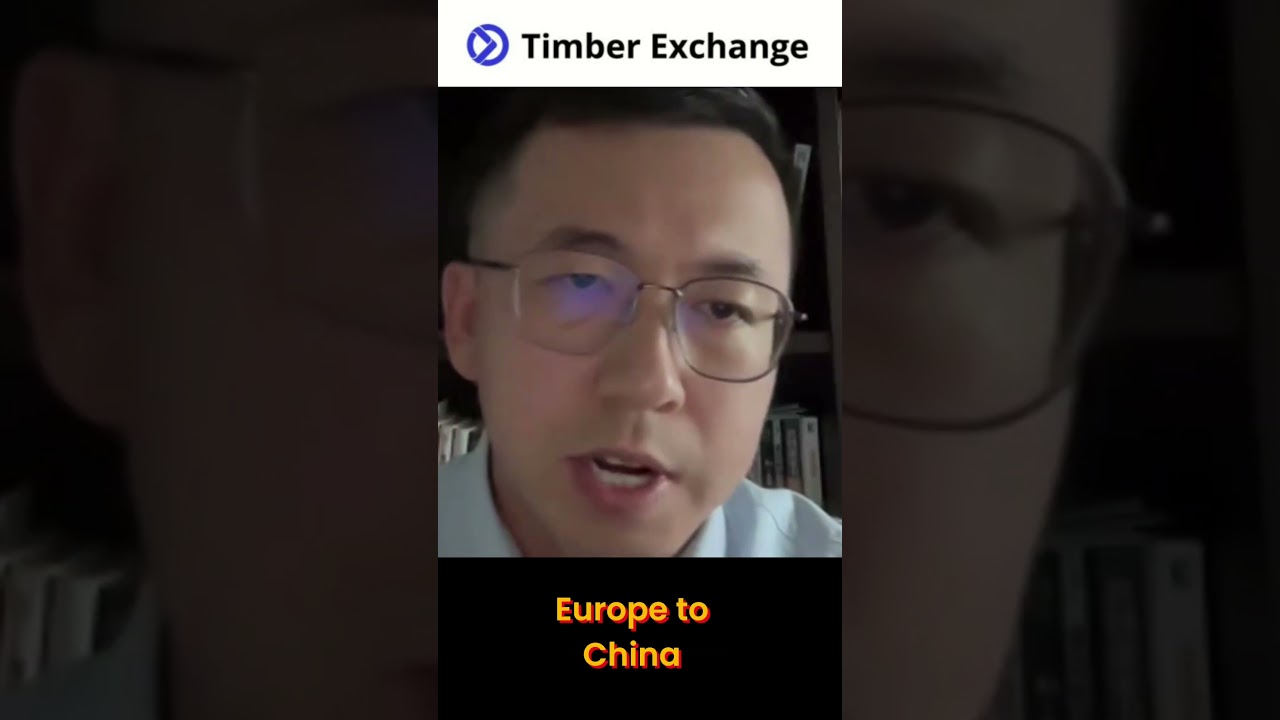 China's Russian Wood Trade - Quality and Price Analysis | Max Miao | BNBM | Timber Exchange
