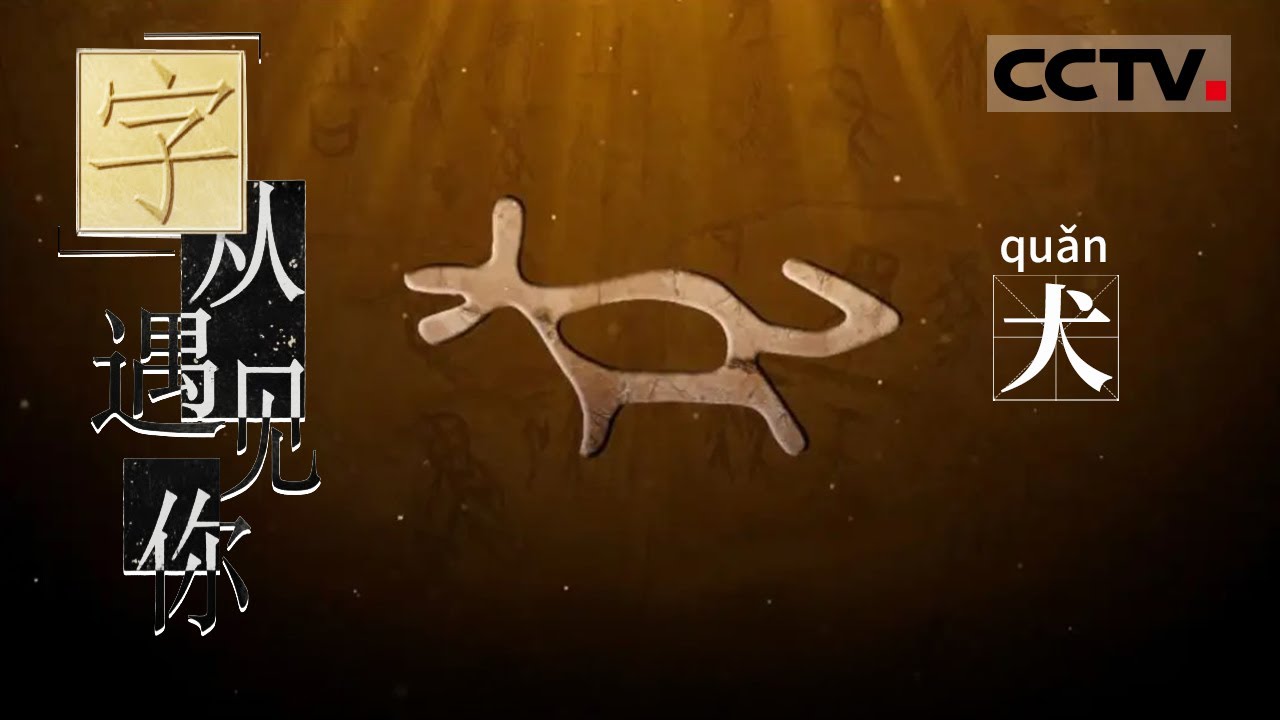 《“字”从遇见你》张着嘴 弓着背 一副跃跃欲试的样子 这个字就是“犬”【CCTV纪录】