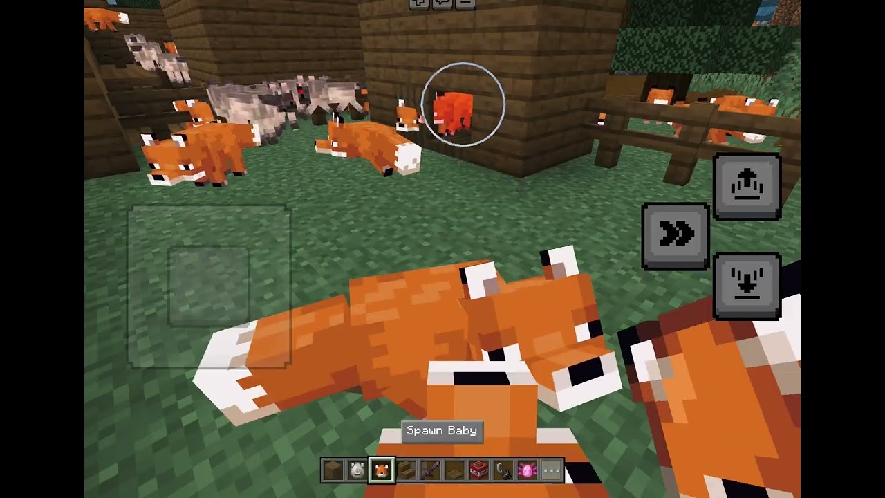 foxes vs the great grey wolves 6