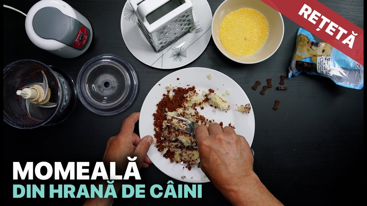Momeala din Hrana pentru Caini - CRAP / CARAS