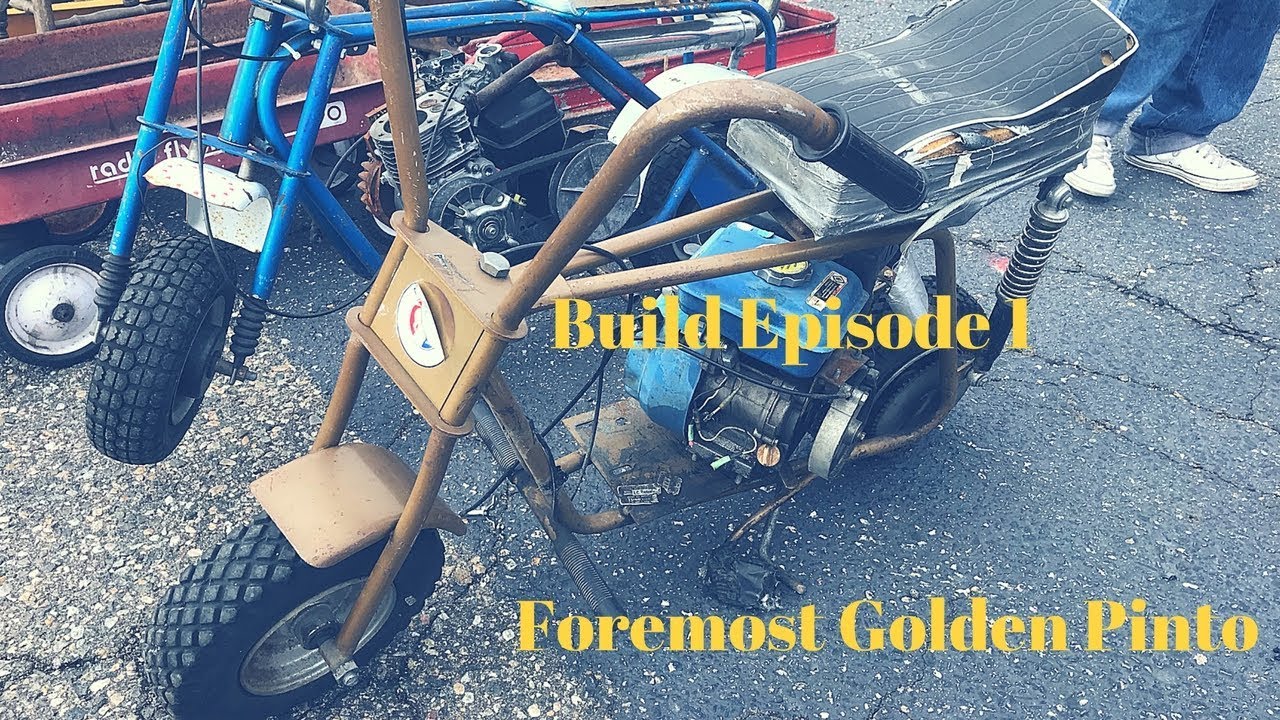 Foremost Golden Pinto Build 1