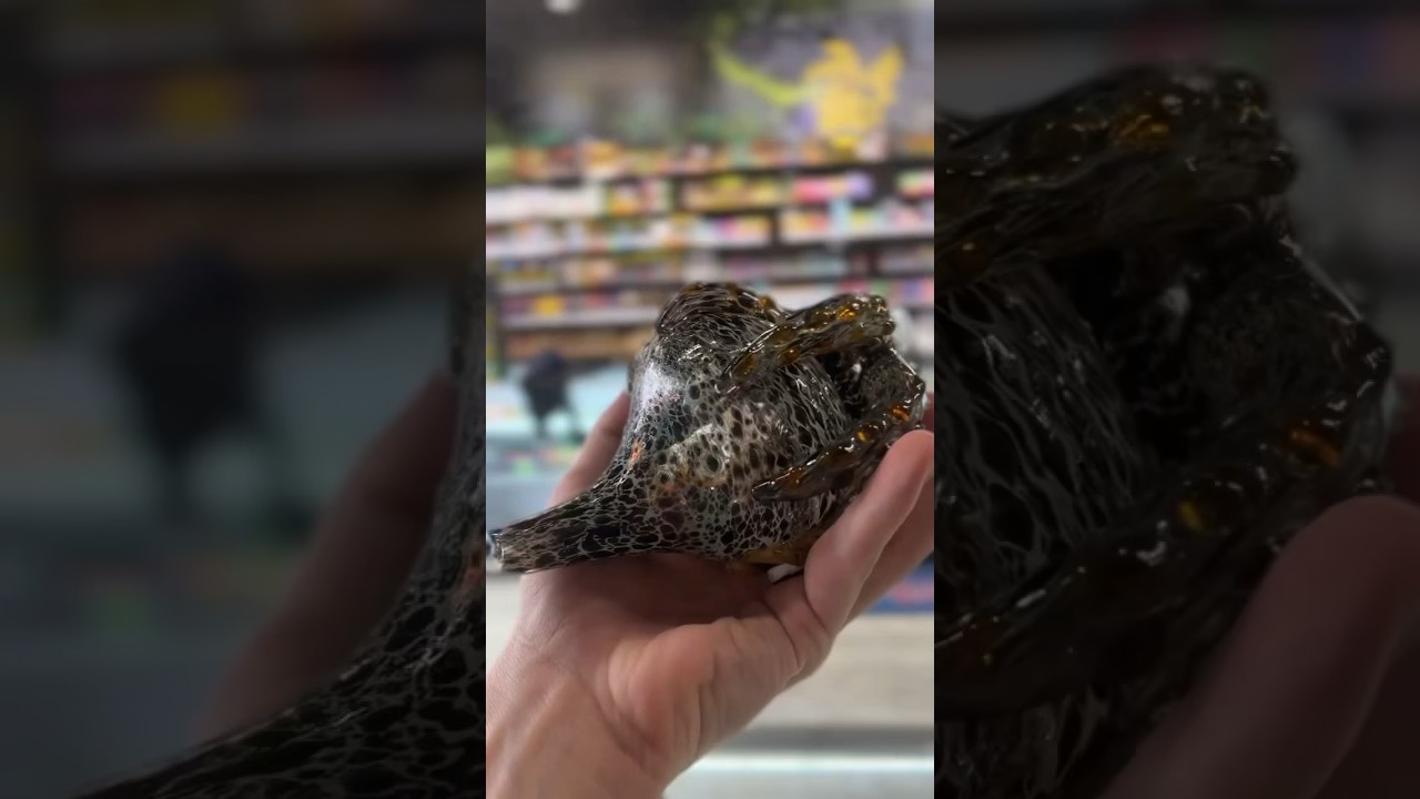 Are dry pipes worth it?