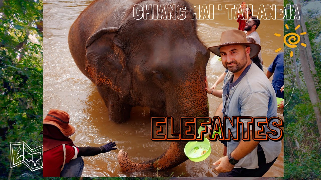 Los Elefantes en Chiang Mai, valen la pena