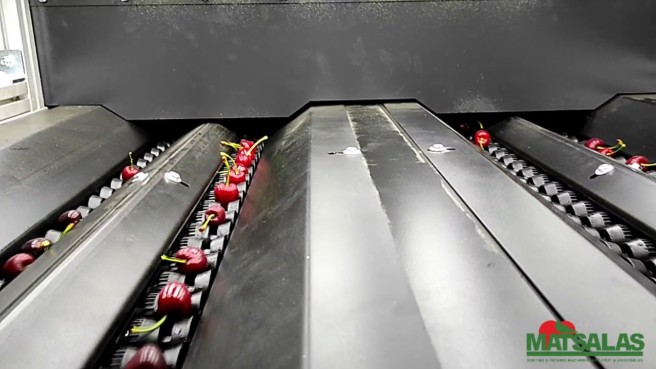 Ηλεκτρονικός ταξινομητής κερασιών - Electronic sorter of cherries