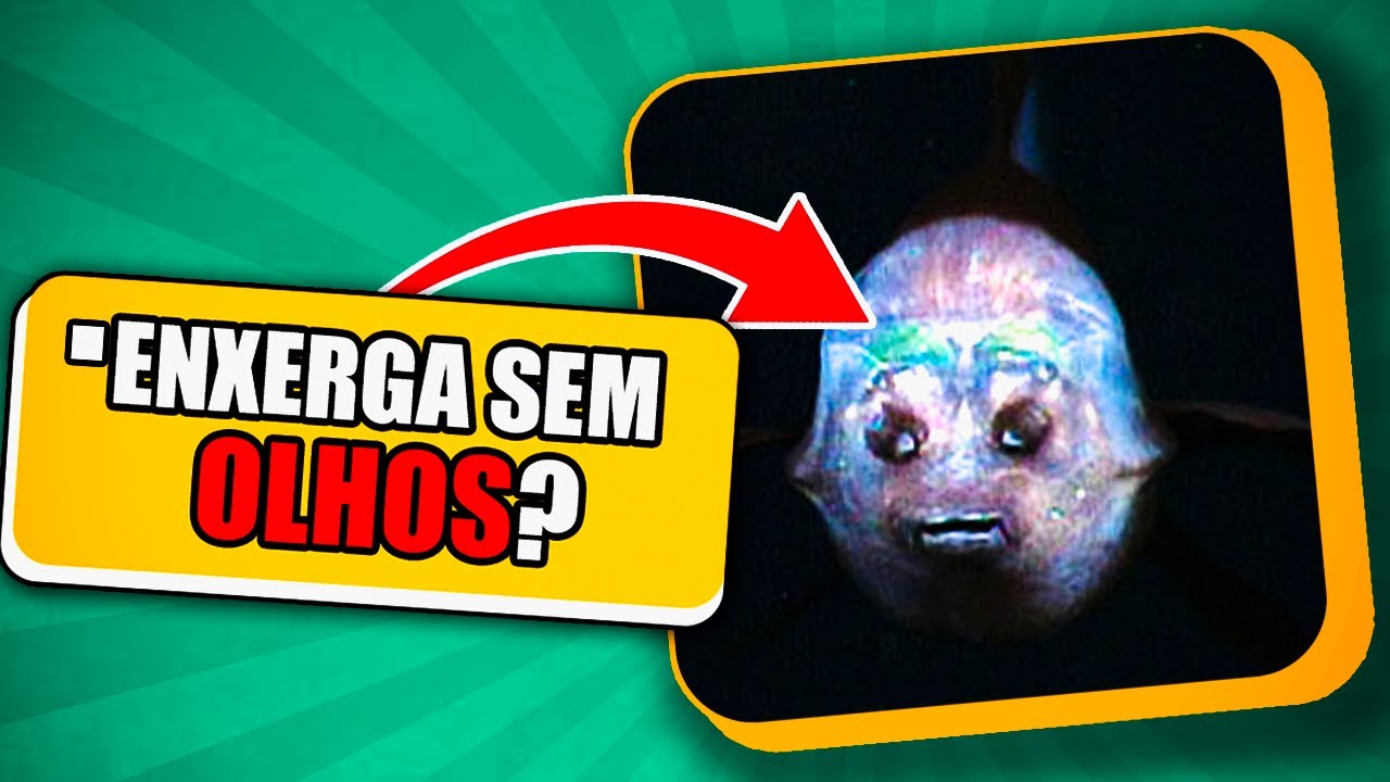 Mistérios do FUNDO do MAR (QUIZ IMPOSSÍVEL)