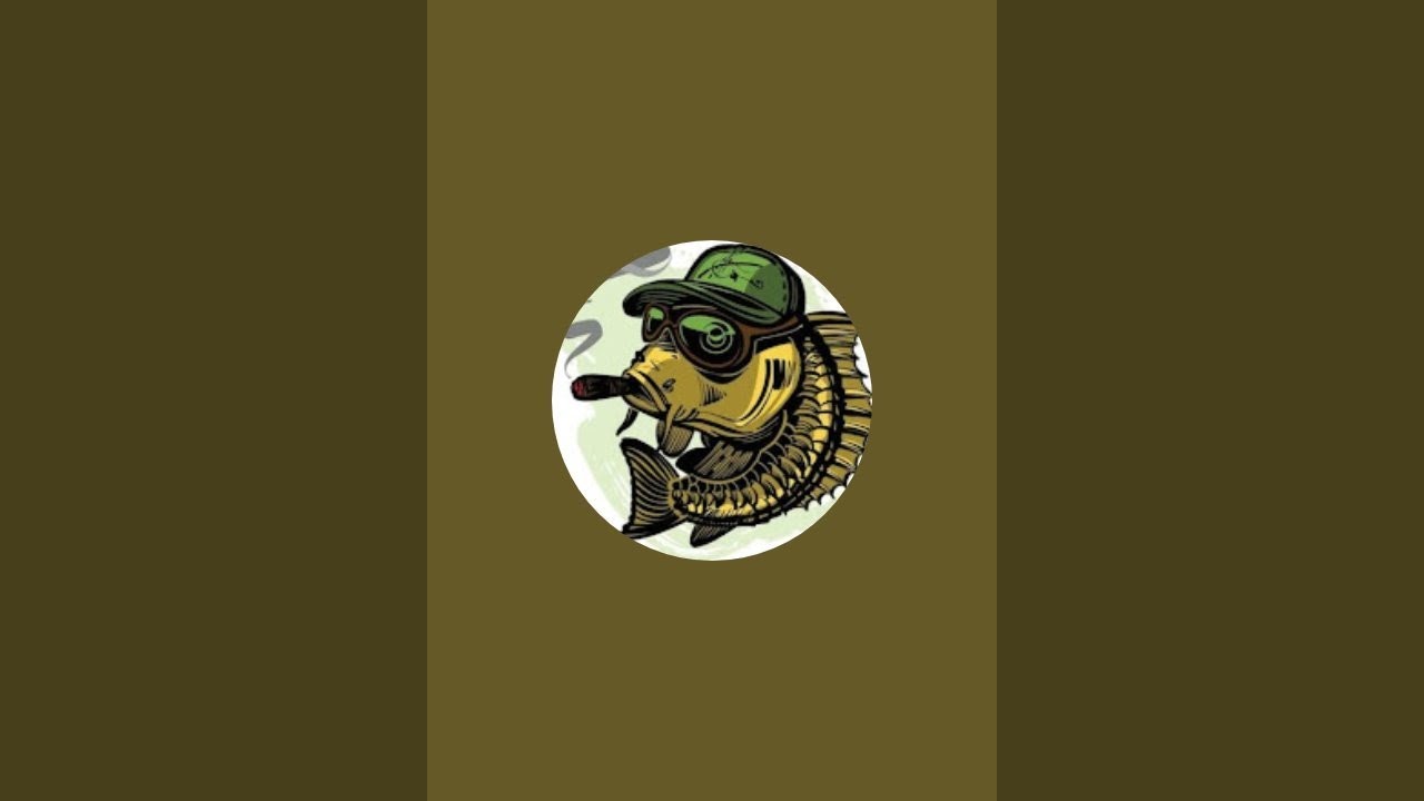 Scooter  is live!