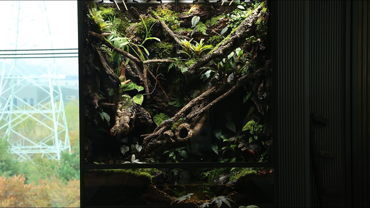 1.3M 수직 대정글 팔루다리움 만들기 | Making a 1.3M Vertical Jungle Paludarium