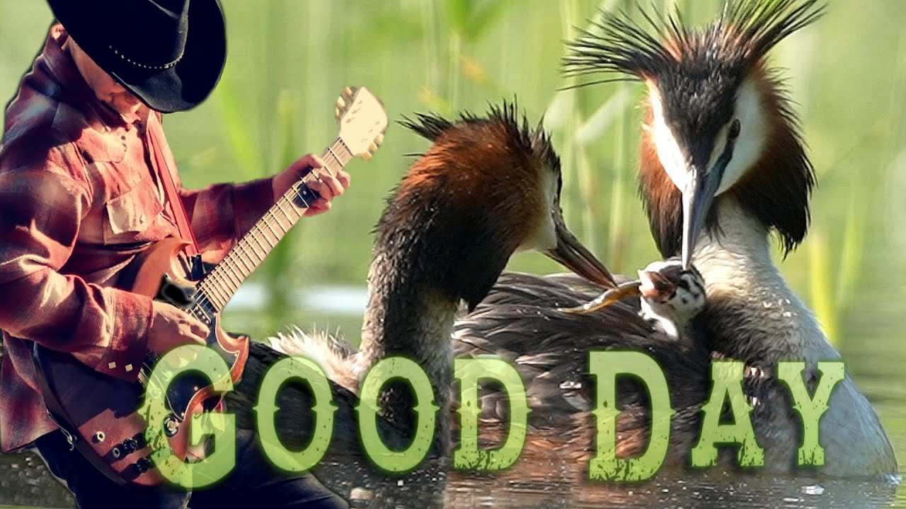 Good Day ( Own Original Country Rock )