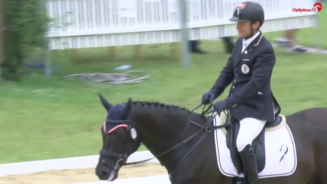 ÖM Para Dressur 2016 - 1. Platz Pepo Puch, Competition 10 Para-Dressur Team Test, Schindlhof