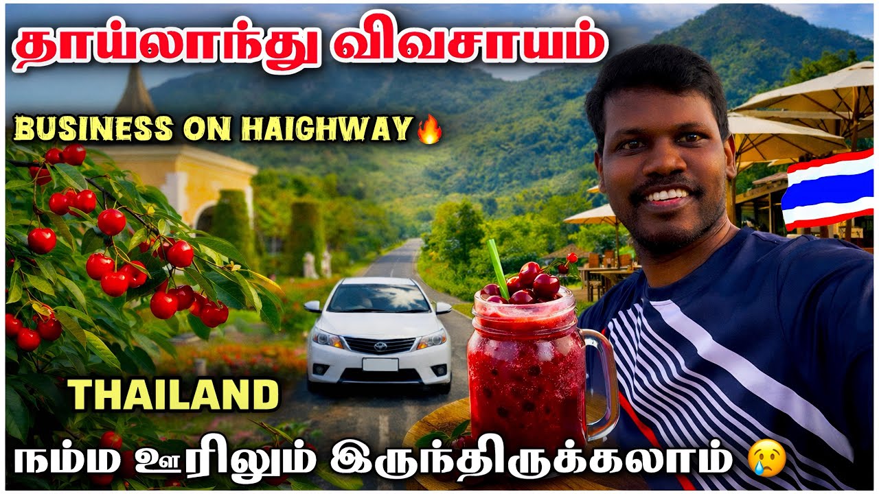 Road Trip Thailand 🇹🇭 | Khon Kaen to Bangkok by Car | Cherry Garden & Mountain Café Stop 🍒☕