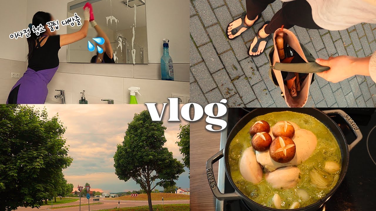 독일일상 vlog🇩🇪 이사 전 체크리스트📝 & 청소 팁&세제 추천(🫧냉장고, 오븐, 인덕션, 칼크 제거), 삼계탕, 콜라비 깍두기, 아마존 정원 도구 언박싱 주부일상☀