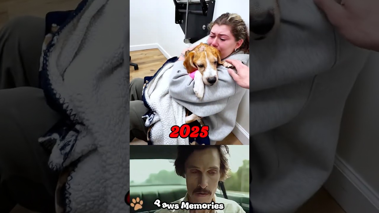Her Dog Died in Her Arms 😭💔 | PAWS Memories 🐾 #shorts 
