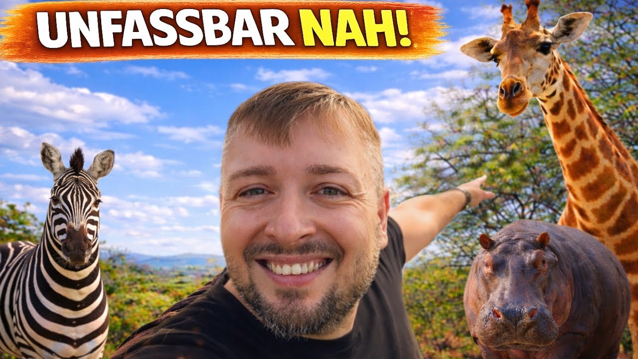 Erste Safari im Kruger Nationalpark – Südafrika hat mich überwältigt 😳🇿🇦