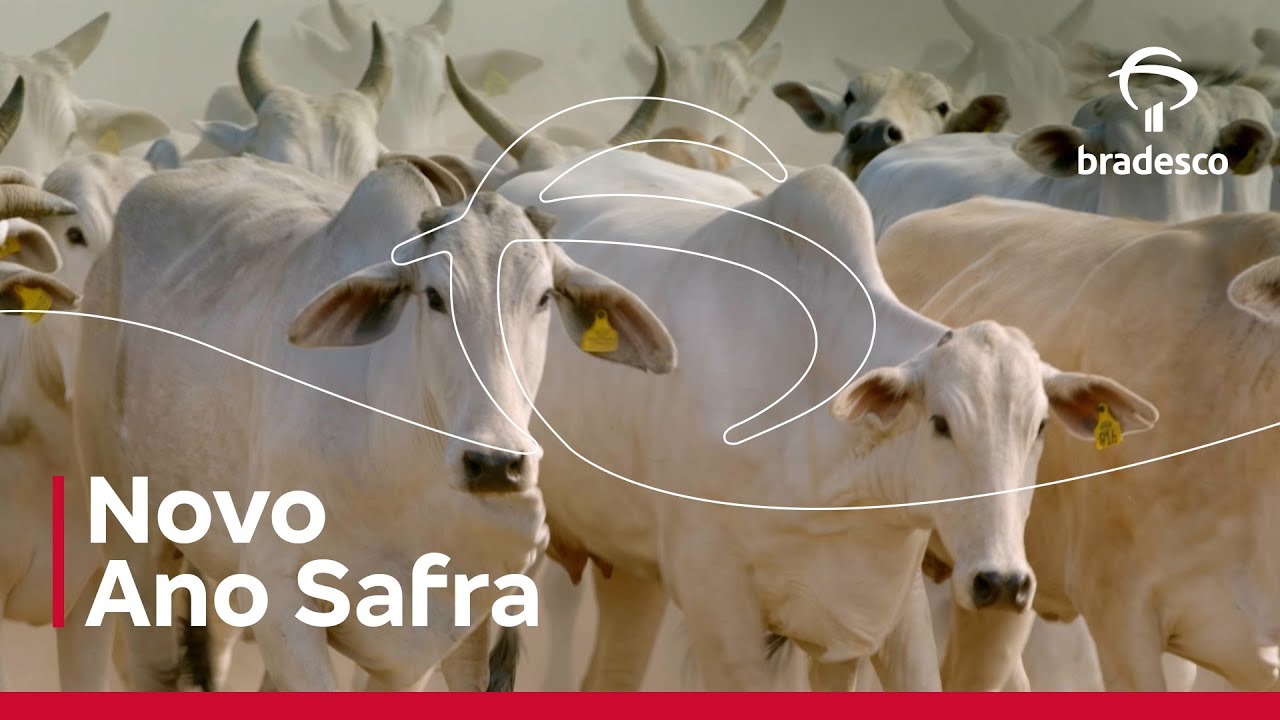 Neste novo Ano Safra, conte com o Bradesco.