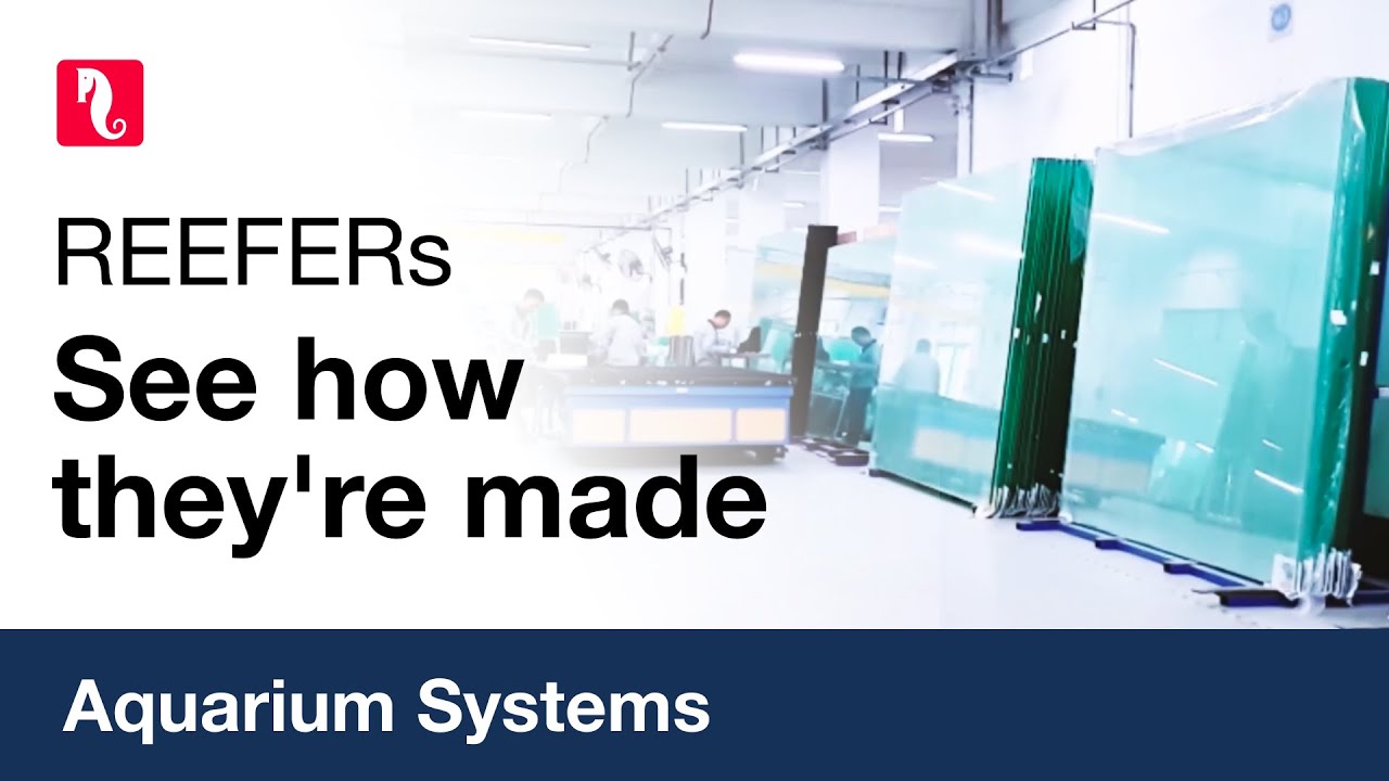 Red Sea Aquariums- see how they're made