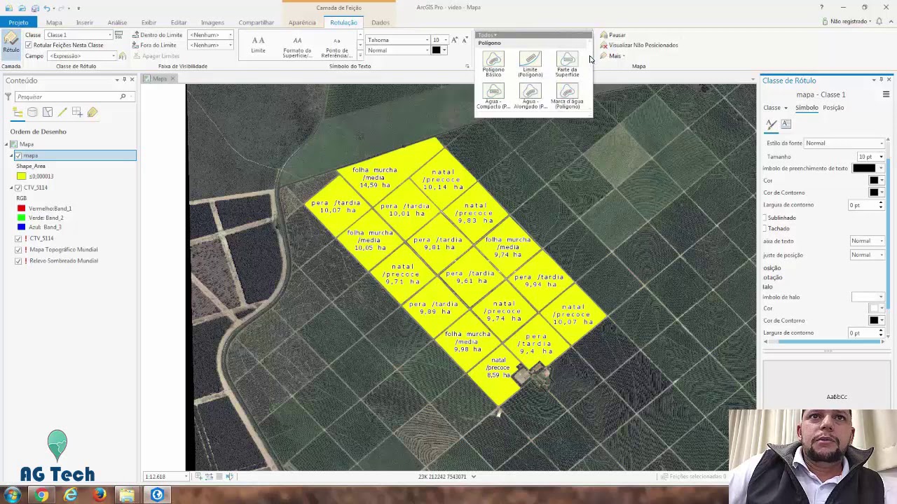 Rotulação avançada - ArcGIS Pro
