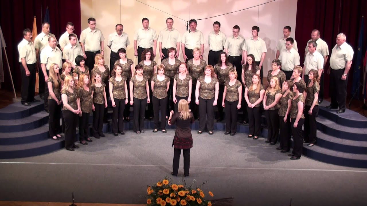 23. NAŠA PESEM 2014, MARIBOR - MEŠANI PEVSKI ZBOR SVOBODA ŠOŠTANJ
