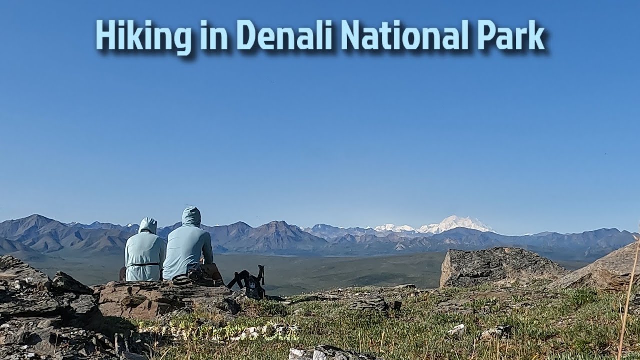 Hiking The Savage Alpine Trail in Denali National Park, Alaska!