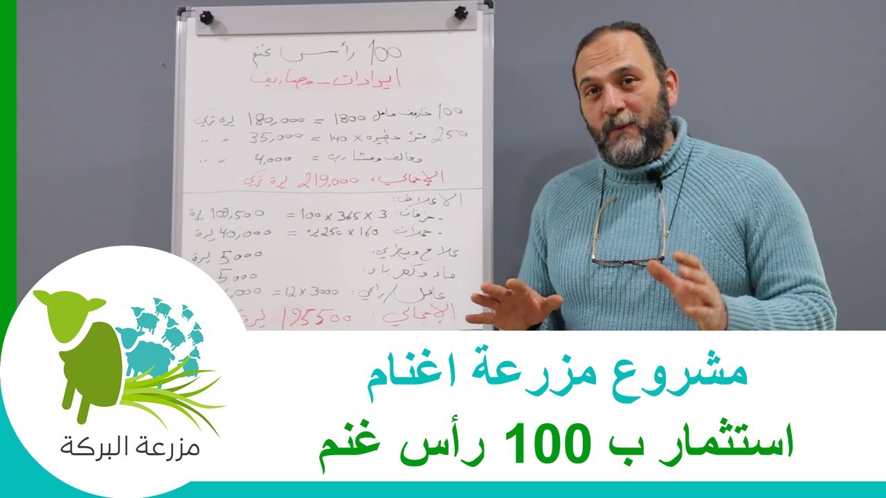 استثمار ب 100 رأس غنم  -  ايرادات, مصاريف, ارباح