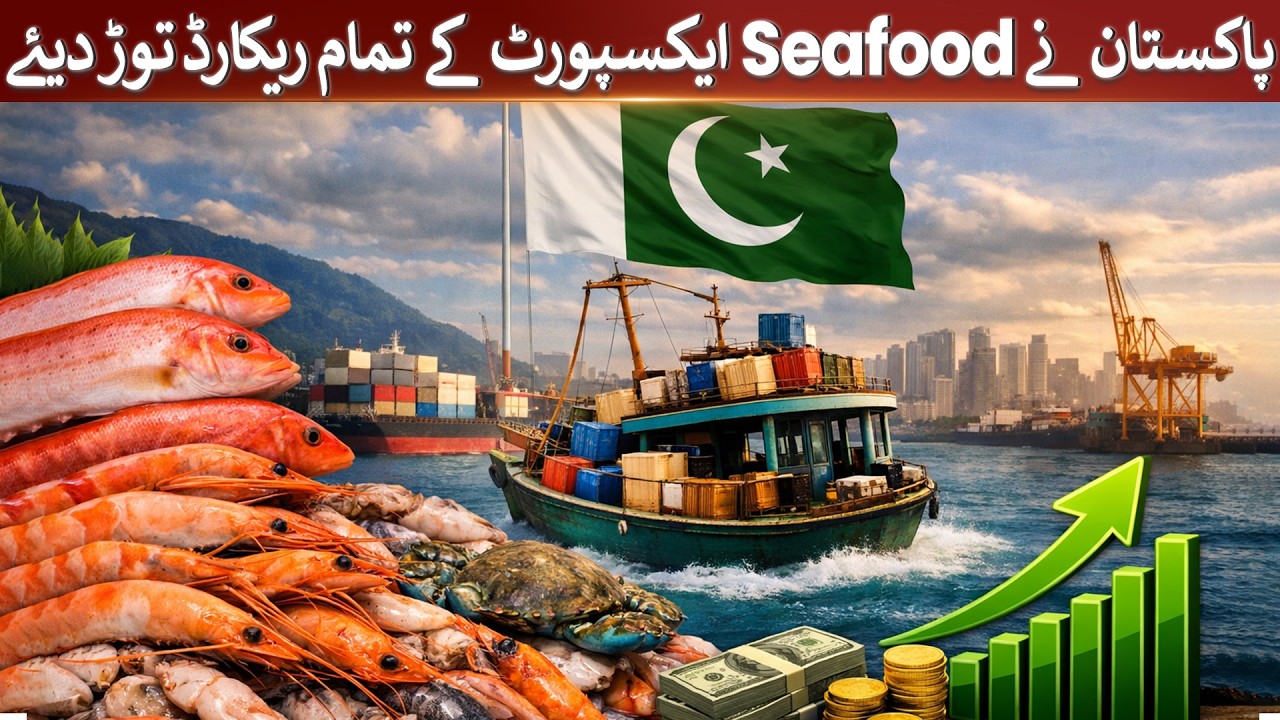 Pakistan breaks all records in seafood exports | Rich Pakistan