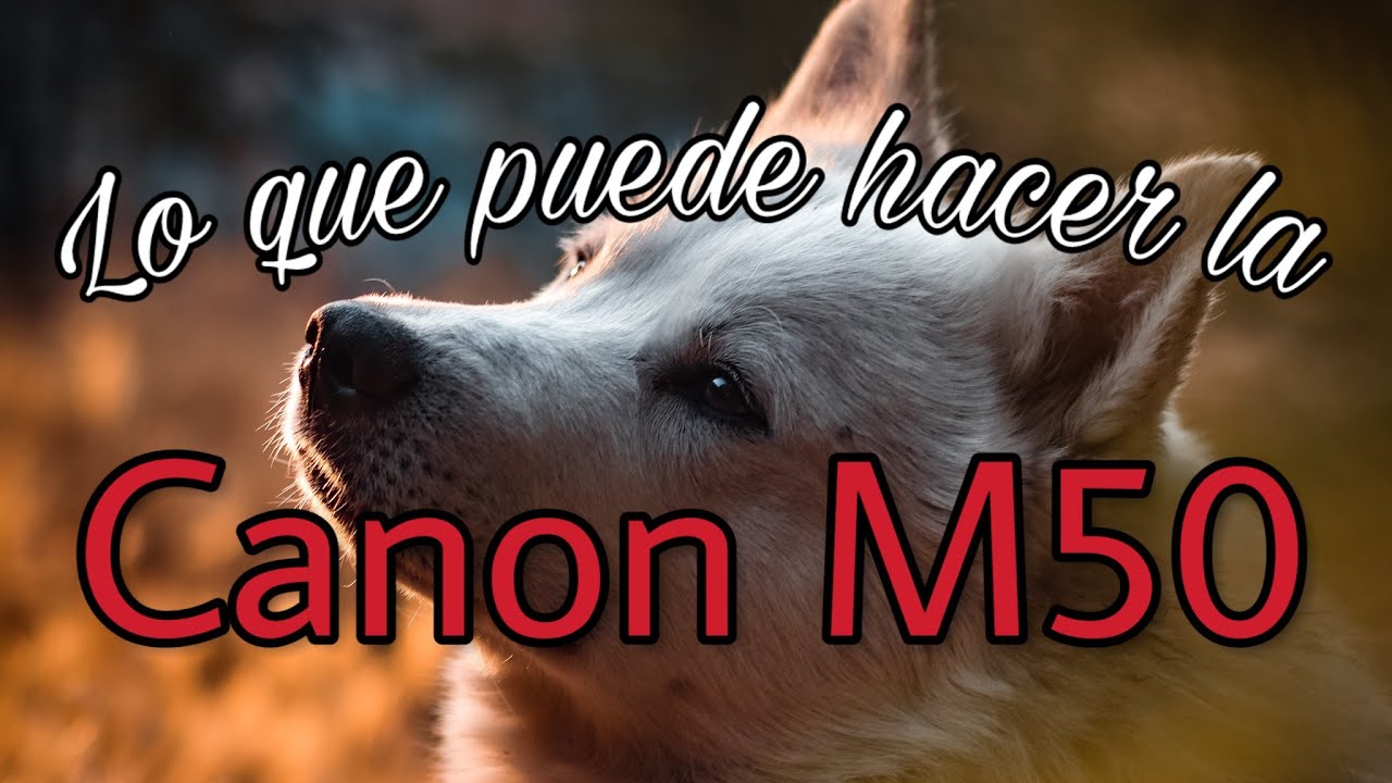 HACIENDO FOTOS con la MEJOR CÁMARA de principiante💥 (CANON EOS M50 photo & video test)